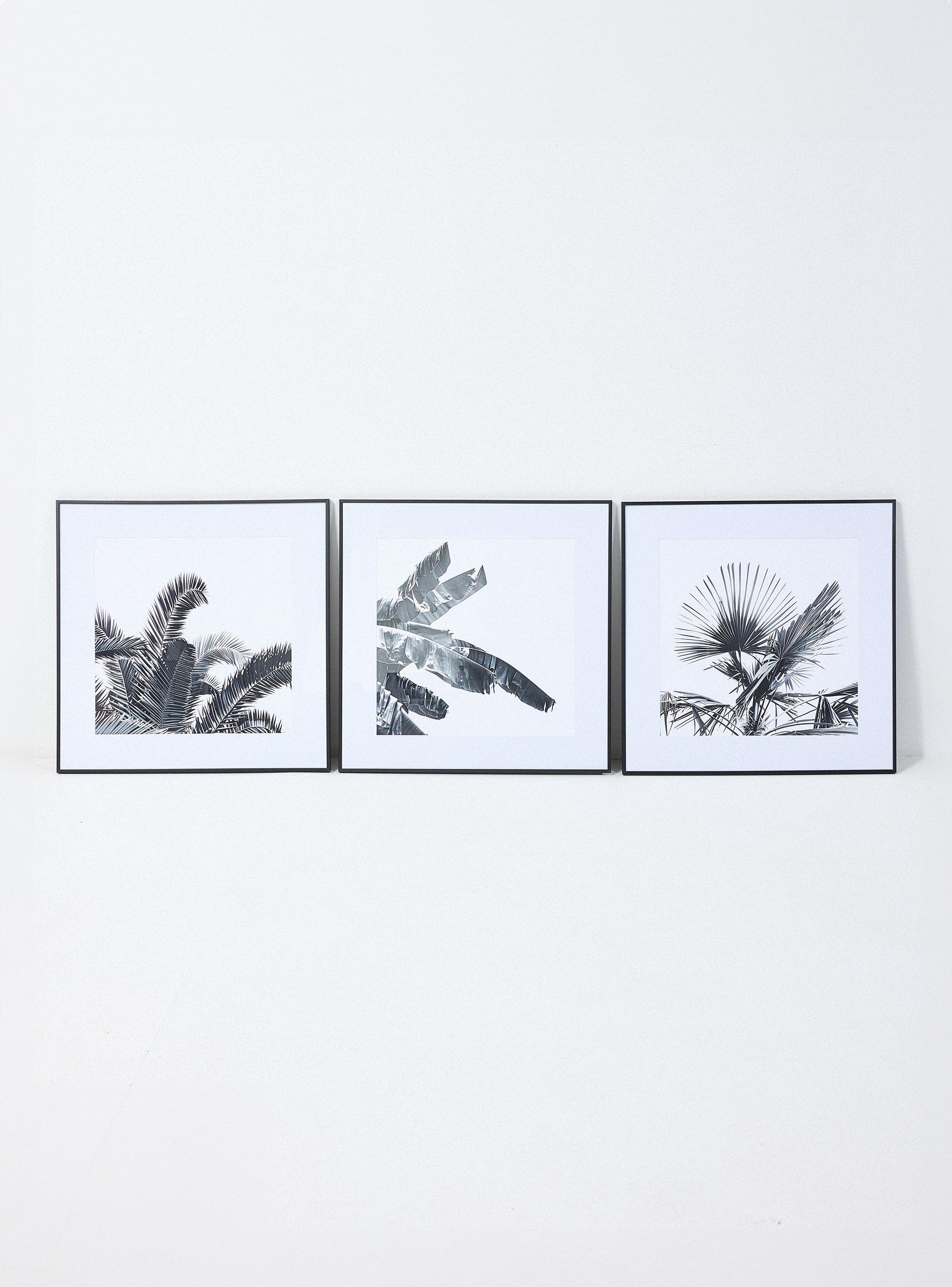 Imagen ampliada #1 para Set de 3 Cuadros Hojas Palm 60x60 cm